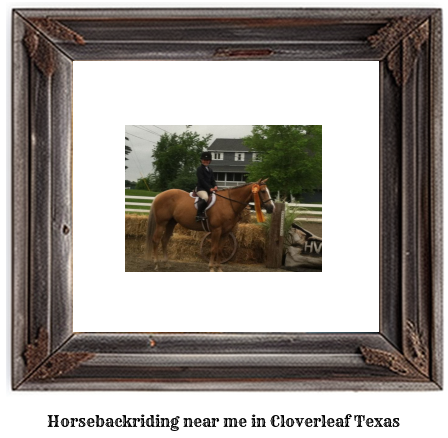 horseback riding near me in Cloverleaf, Texas